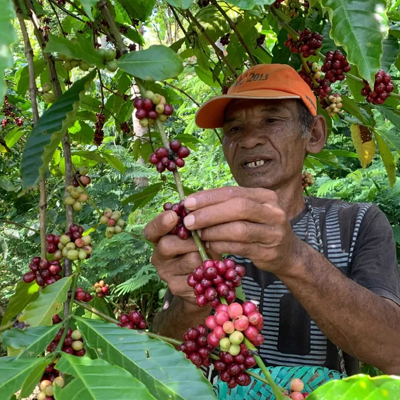 Akshada Farmer